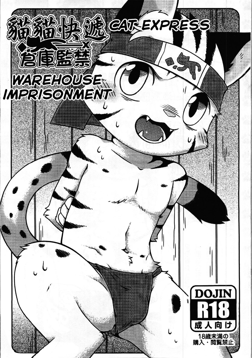 (+Unreal Place+(Rairu)) Cat Express (Eng) Cover