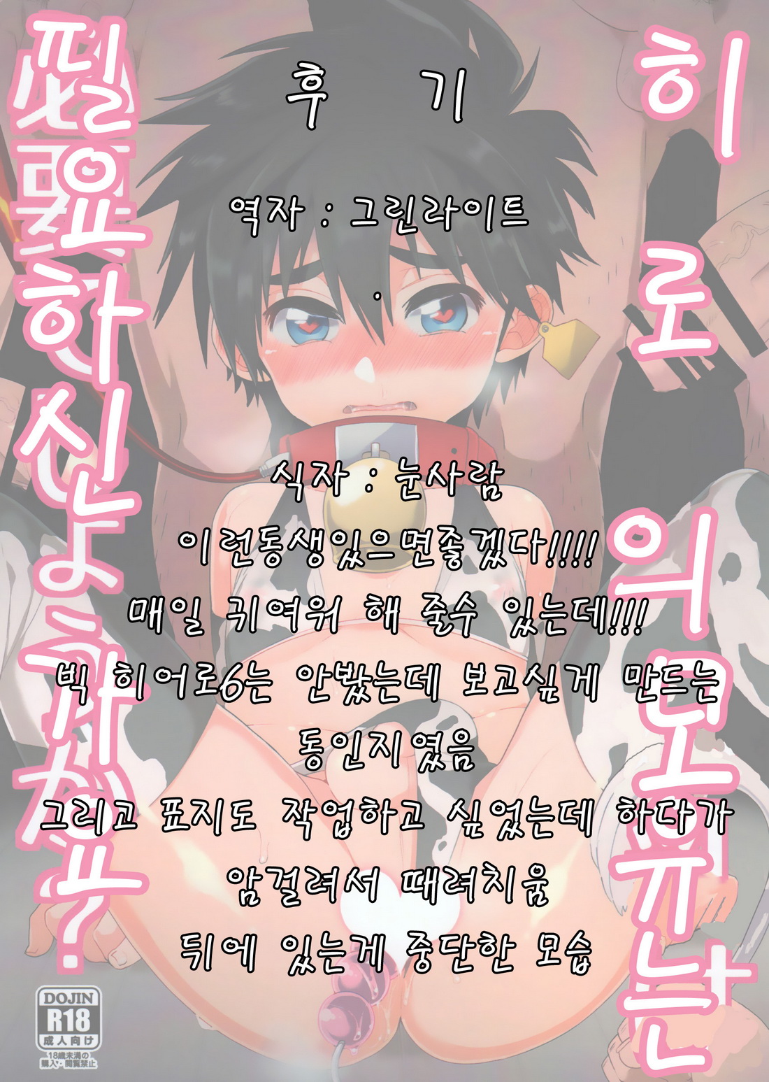 (21kg／ Kito) Hiro ni Bonyuu wa Hitsuyou deshouka - Big Hero 6 dj (kr) Cover