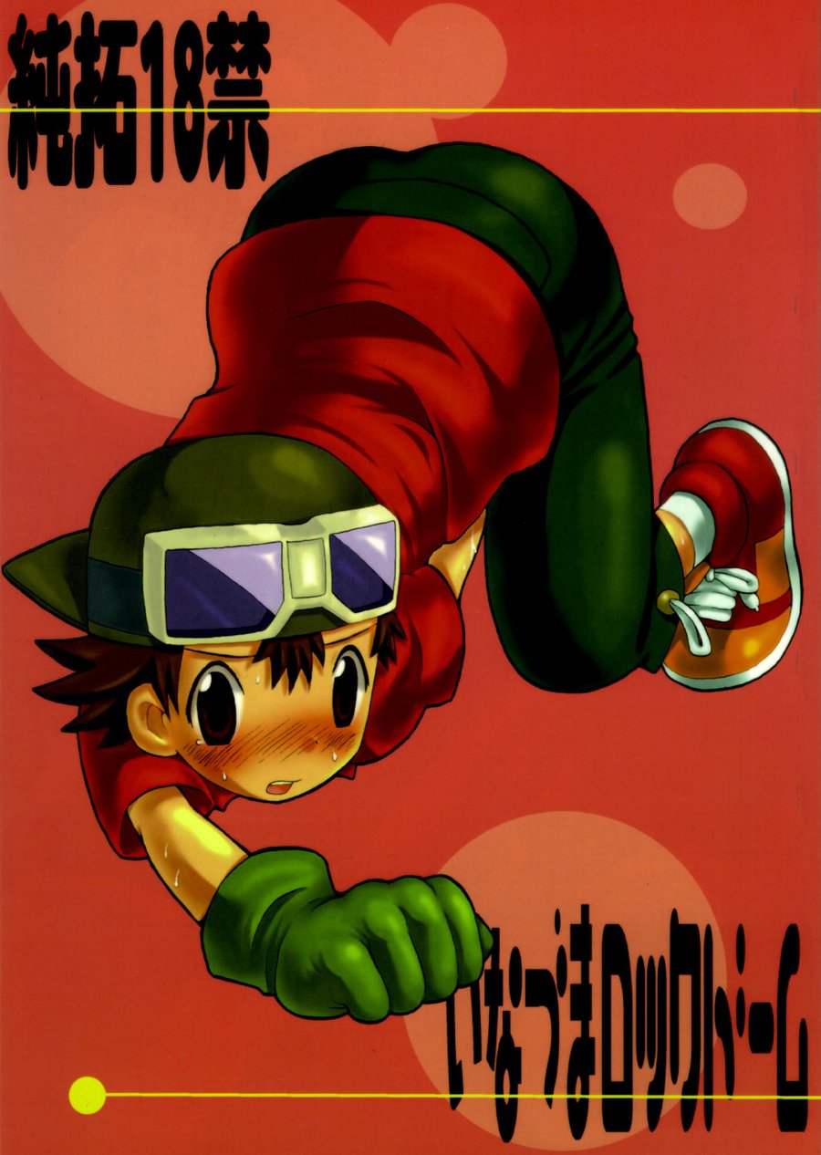 (Hoshiai Hilo (KuruGuru DNA)) Inazuma Rock Dome - Digimon Frontier dj (Eng) Cover