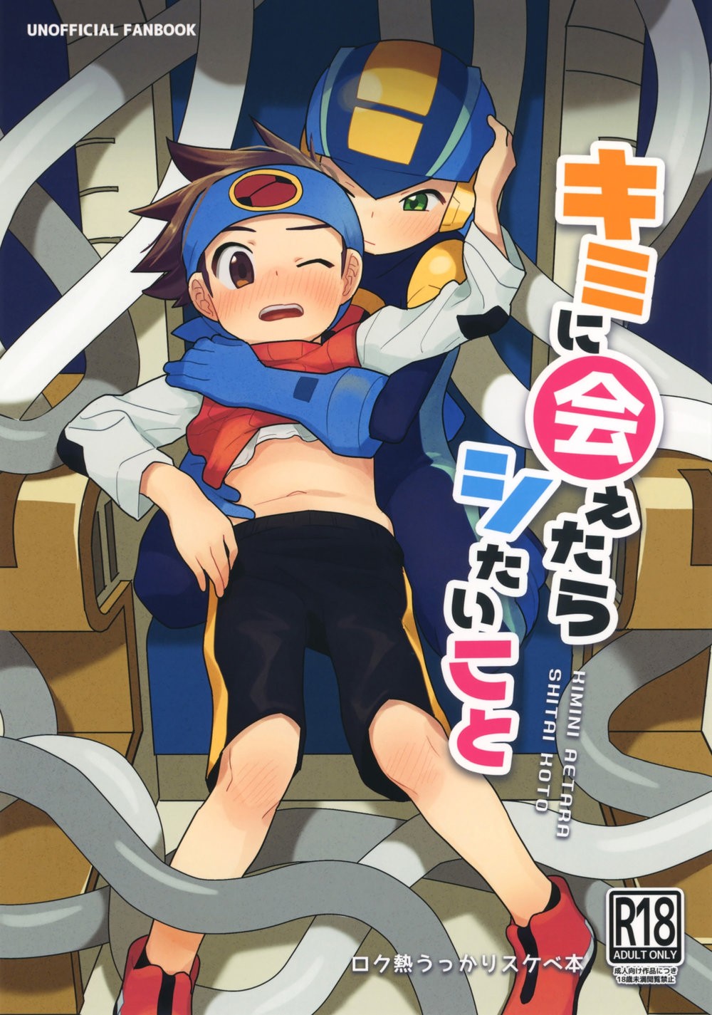 (Houwa Youeki Beta (Noudo)) Kimi ni Aetara Shitai Koto - Rockman EXE dj (Eng) Cover