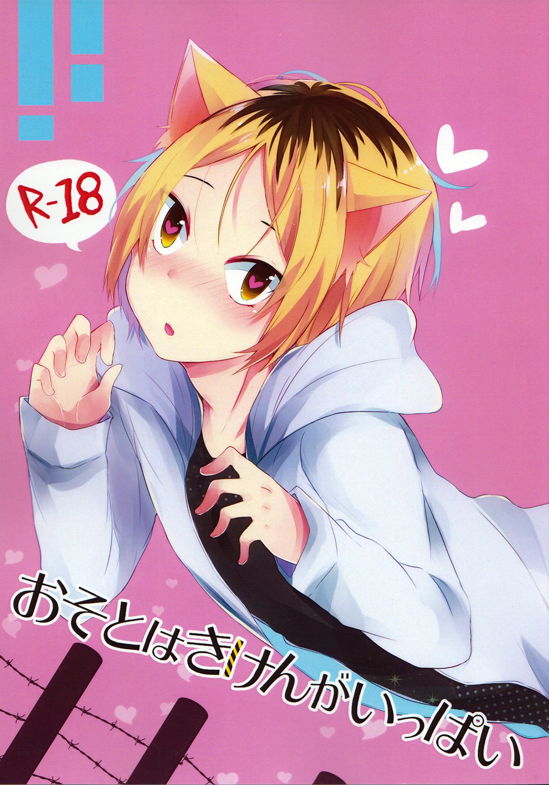 (Kakuu Otome (Amene Hayabusa)) Osoto wa Kiken ga ippai - Haikyuu!! dj (JP) Cover