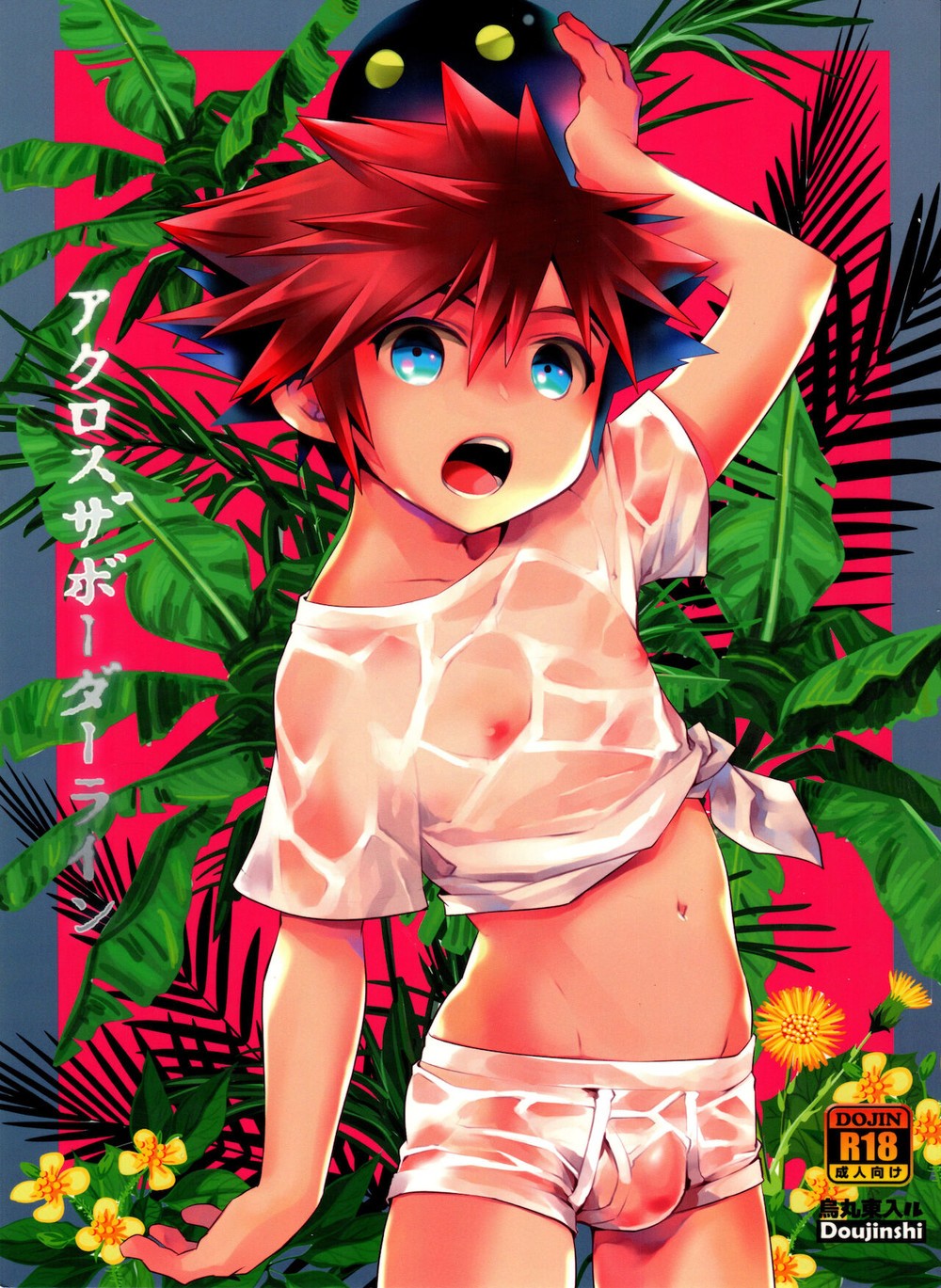 (Karasuma Pink Higashiiru (Karasuma Pink)) Across the Borderline - Kingdom Hearts dj (JP) Cover