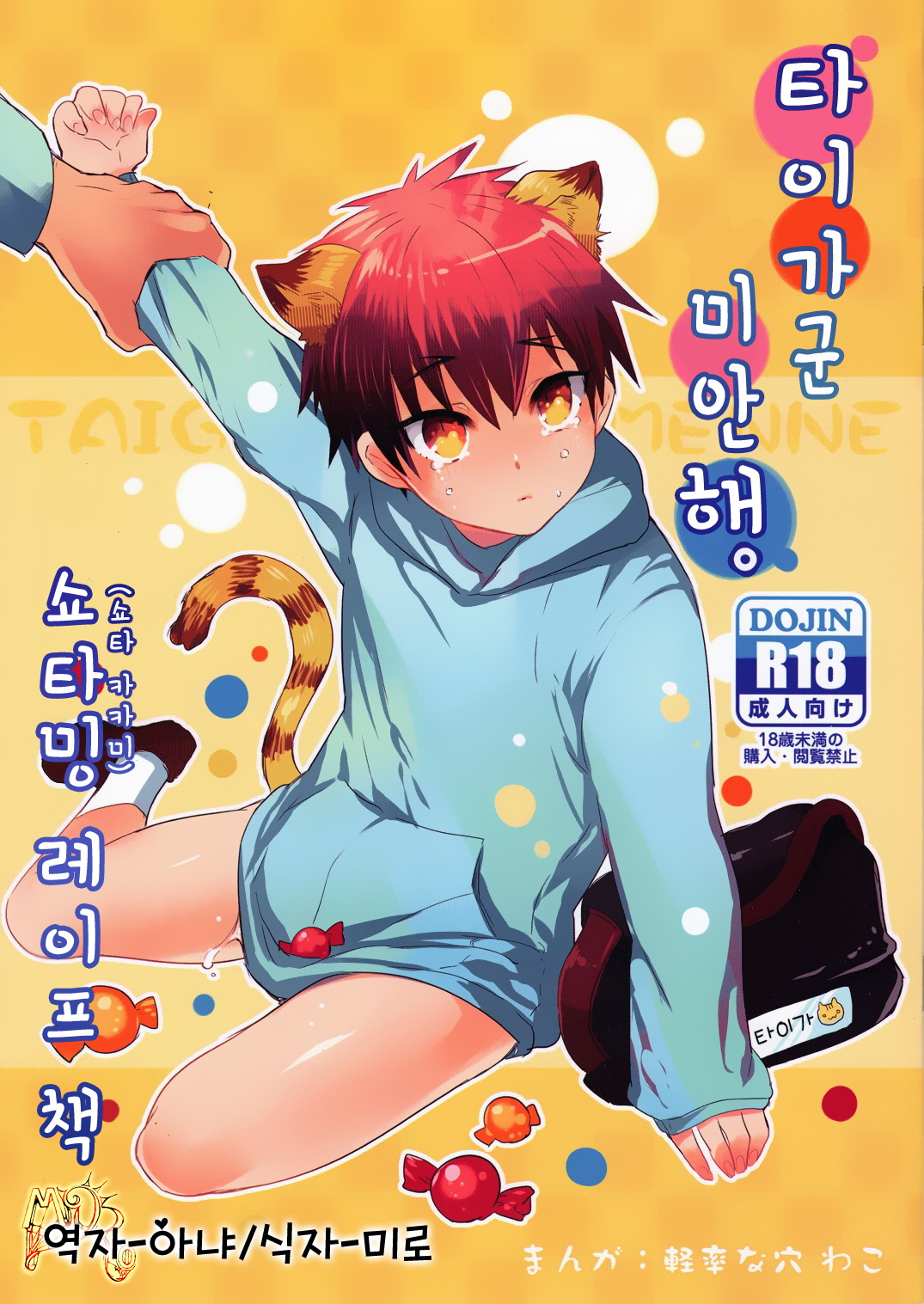 (Keisotsuna ana (Wako)) Taiga-kun gomenne - Kuroko no Basuke dj (kr) Cover