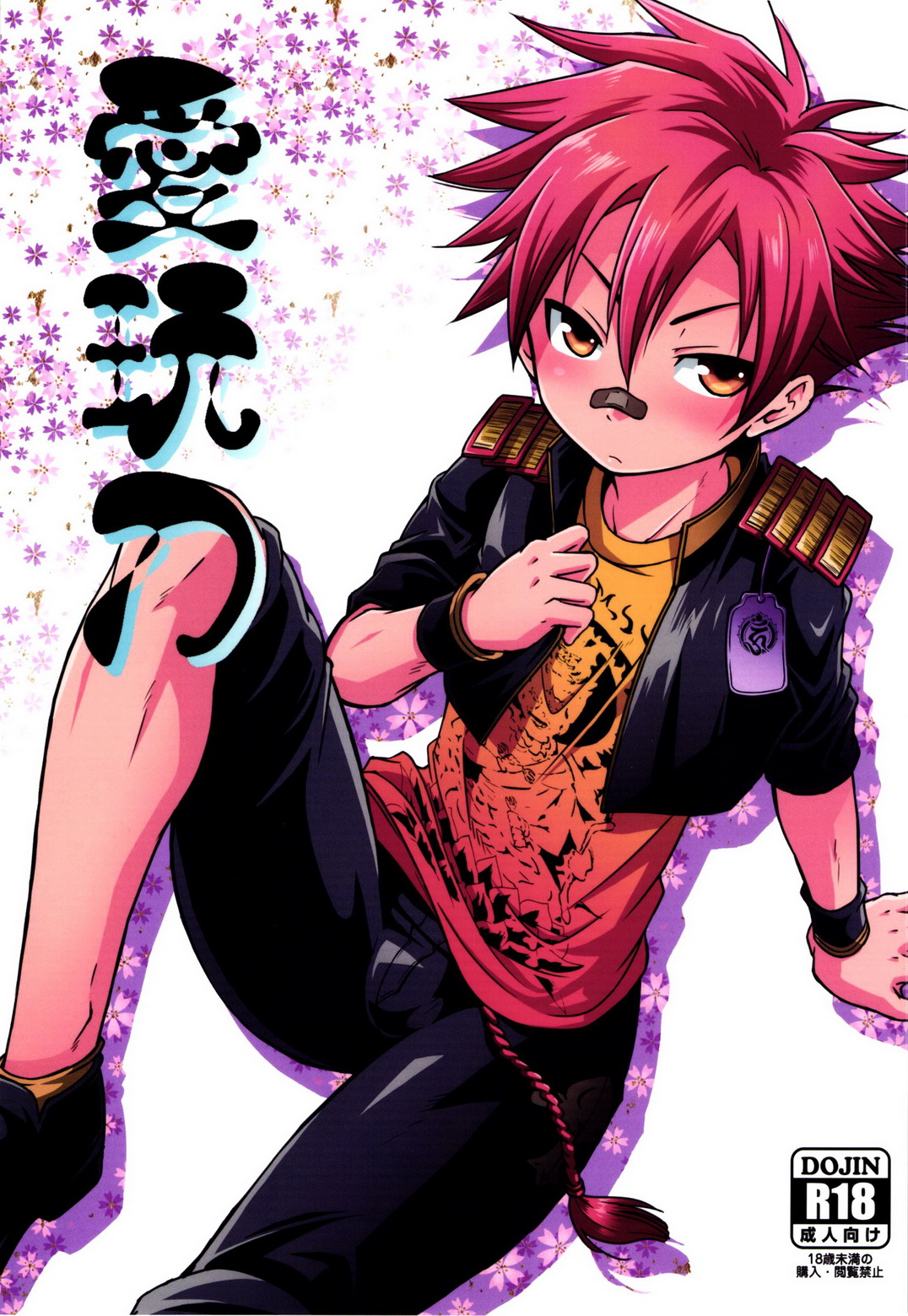 (Miyamoto Ikusa (SideM)) Aigan Gatana - Touken Ranbu dj (Eng) Cover