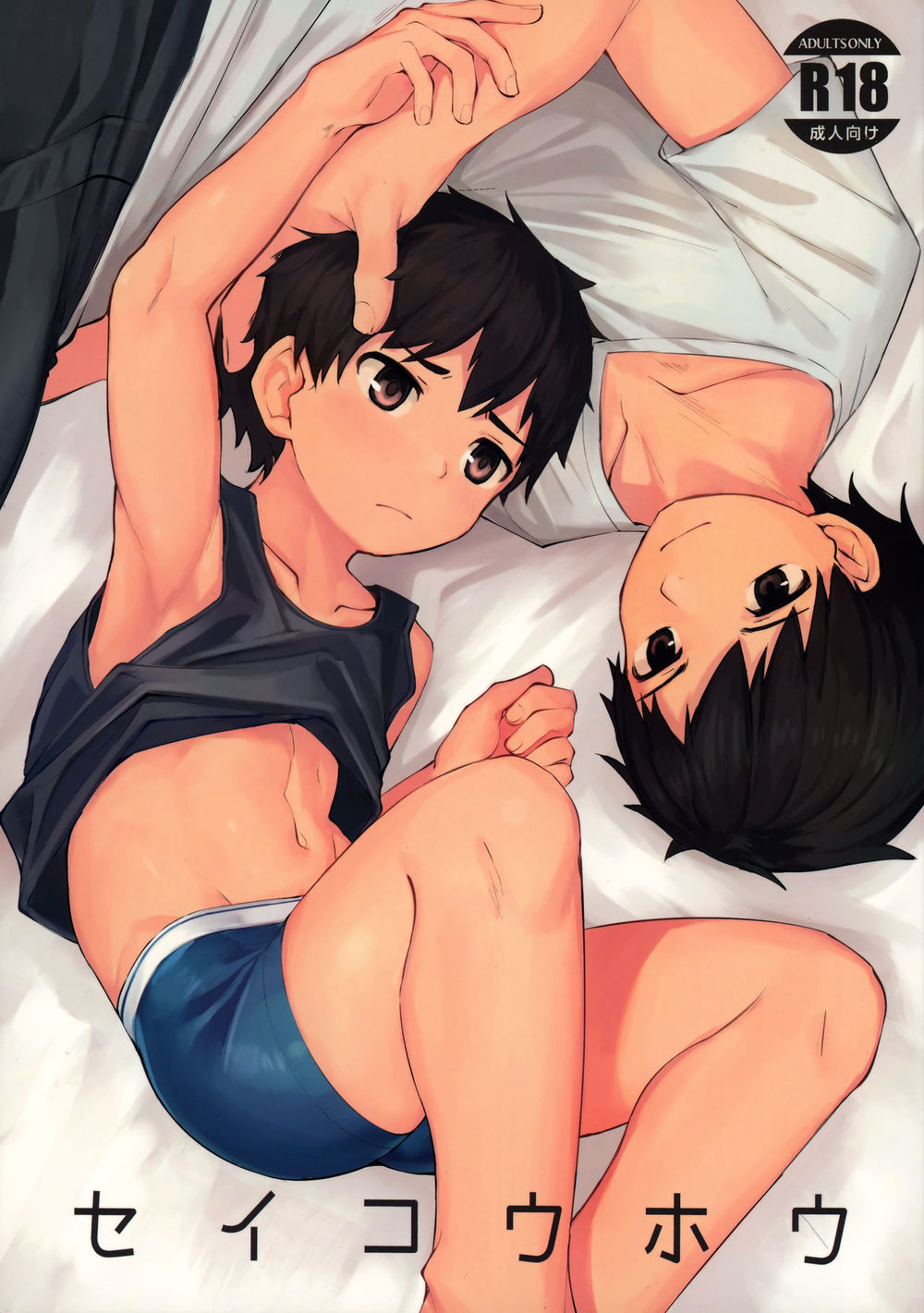 (Nisankatanso (Nayoshi)) Seikouhou แปลไทย (Thai) Cover