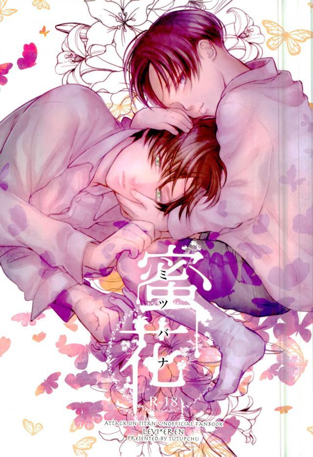 (Pde／ tutuPchu) Mitsuka - Attack on Titan dj (JP) Cover