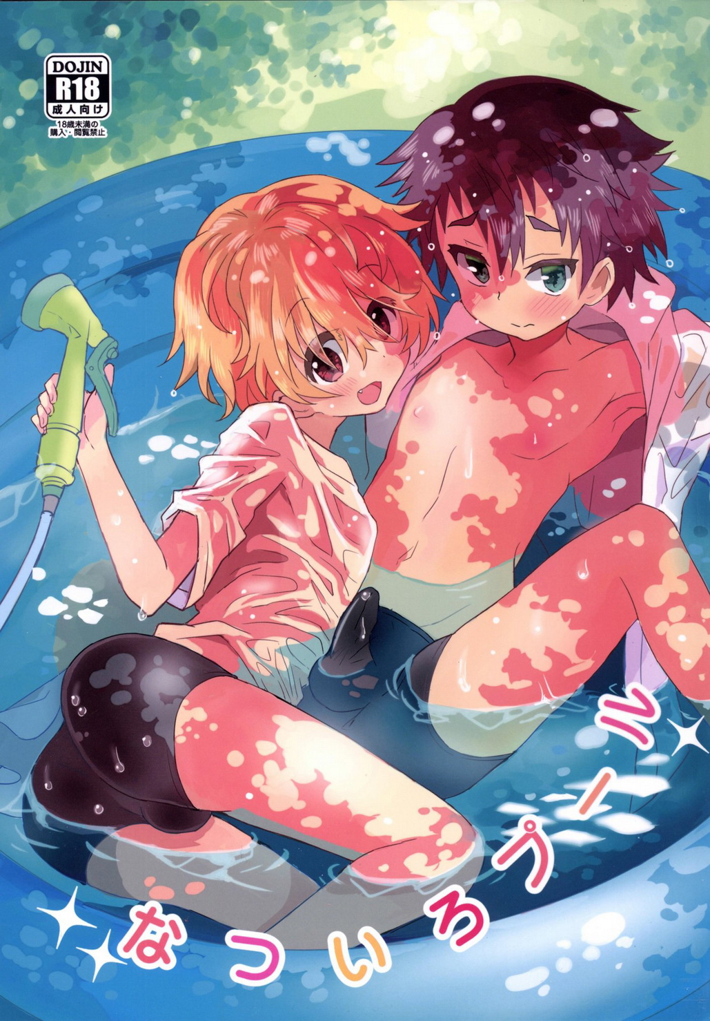Cover Image